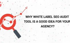 Why White Label SEO Audit Tool is a Good Idea For Your Agency?